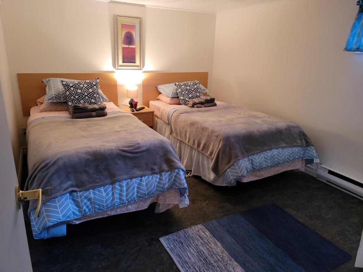 エドマンズトンLower Level Apt 6Ft High Close To Hwy Netflix Wifiアパートメント エクステリア 写真