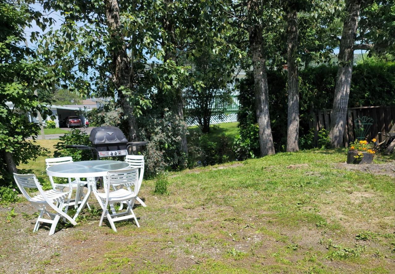 エドマンズトンLower Level Apt 6Ft High Close To Hwy Netflix Wifiアパートメント エクステリア 写真